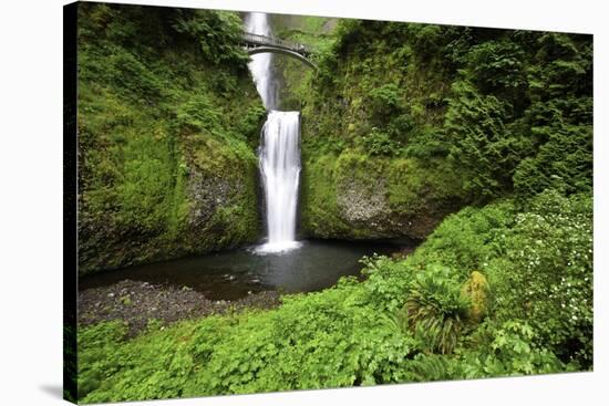 Multnomah Falls, in Columbia River Gorge National Scenic Area, Oregon-Craig Tuttle-Stretched Canvas