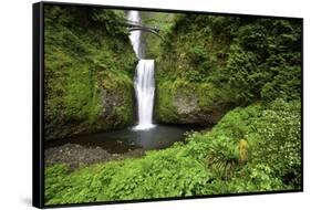 Multnomah Falls, in Columbia River Gorge National Scenic Area, Oregon-Craig Tuttle-Framed Stretched Canvas