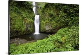 Multnomah Falls, in Columbia River Gorge National Scenic Area, Oregon-Craig Tuttle-Stretched Canvas