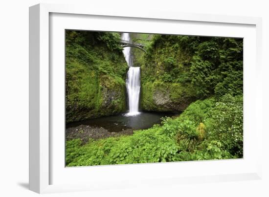 Multnomah Falls, in Columbia River Gorge National Scenic Area, Oregon-Craig Tuttle-Framed Photographic Print