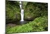Multnomah Falls, in Columbia River Gorge National Scenic Area, Oregon-Craig Tuttle-Mounted Photographic Print