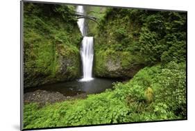 Multnomah Falls, in Columbia River Gorge National Scenic Area, Oregon-Craig Tuttle-Mounted Photographic Print
