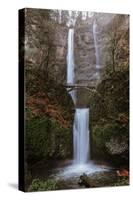 Multnomah Falls in fall color-Belinda Shi-Stretched Canvas