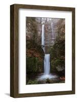 Multnomah Falls in fall color-Belinda Shi-Framed Photographic Print