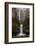 Multnomah Falls in fall color-Belinda Shi-Framed Photographic Print