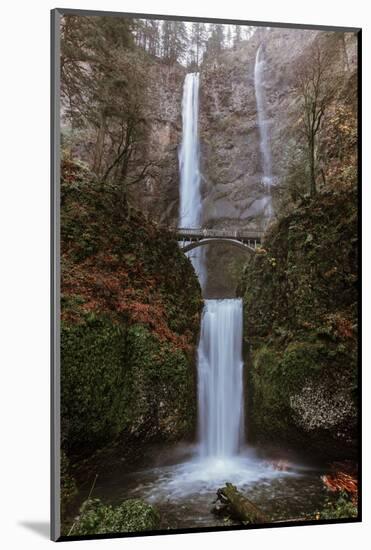 Multnomah Falls in fall color-Belinda Shi-Mounted Photographic Print