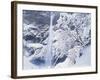 Multnomah Falls in Snow Covered Forest, Columbia Gorge National Scenics Area, Oregon, USA-Stuart Westmoreland-Framed Photographic Print