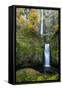 Multnomah Falls in the Columbia Gorge Scenic Area, Oregon, USA-Chuck Haney-Framed Stretched Canvas