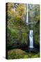 Multnomah Falls in the Columbia Gorge Scenic Area, Oregon, USA-Chuck Haney-Stretched Canvas