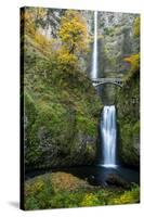 Multnomah Falls in the Columbia Gorge Scenic Area, Oregon, USA-Chuck Haney-Stretched Canvas