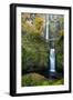 Multnomah Falls in the Columbia Gorge Scenic Area, Oregon, USA-Chuck Haney-Framed Photographic Print