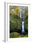 Multnomah Falls in the Columbia Gorge Scenic Area, Oregon, USA-Chuck Haney-Framed Photographic Print