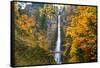 Multnomah Falls in the Columbia River Gorge-Craig Tuttle-Framed Stretched Canvas