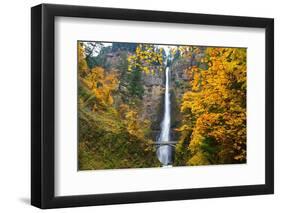 Multnomah Falls in the Columbia River Gorge-Craig Tuttle-Framed Photographic Print