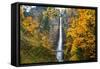 Multnomah Falls in the Columbia River Gorge-Craig Tuttle-Framed Stretched Canvas