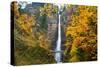 Multnomah Falls in the Columbia River Gorge-Craig Tuttle-Stretched Canvas
