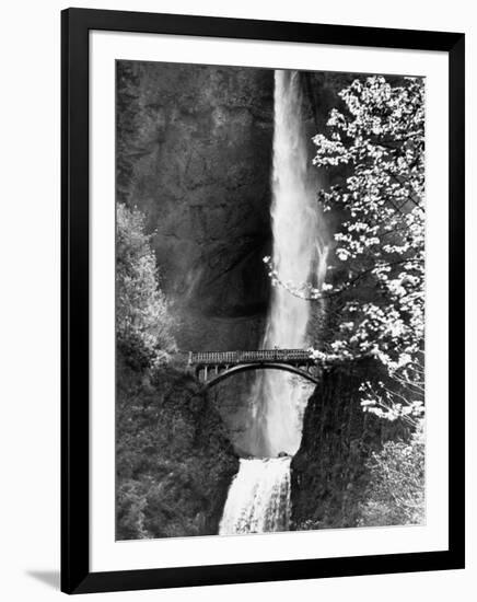 Multnomah Falls on Larch Mt. Where the Water Empties into the Columbia River-Alfred Eisenstaedt-Framed Photographic Print