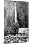 Multnomah Falls, Oregon - Exterior View of the Lodge and Falls, Parking Lot Filled-Lantern Press-Mounted Art Print