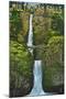 Multnomah Falls, Oregon - Summer View-Lantern Press-Mounted Art Print