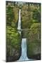 Multnomah Falls, Oregon - Summer View-Lantern Press-Mounted Art Print