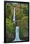 Multnomah Falls, Oregon - Summer View-Lantern Press-Framed Art Print