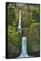 Multnomah Falls, Oregon - Summer View-Lantern Press-Framed Stretched Canvas