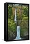 Multnomah Falls, Oregon - Summer View-Lantern Press-Framed Stretched Canvas