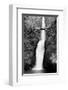 Multnomah Falls, Oregon-null-Framed Art Print