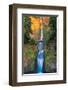 Multnomah Falls- Oregon-null-Framed Art Print