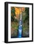 Multnomah Falls- Oregon-null-Framed Art Print