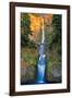 Multnomah Falls- Oregon-null-Framed Art Print