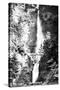 Multnomah Falls Photograph - Columbia River, OR-Lantern Press-Stretched Canvas