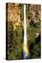 Multnomah Falls Rainbow-Steve Terrill-Stretched Canvas