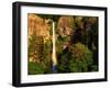 Multnomah Falls Rainbow-Steve Terrill-Framed Photographic Print