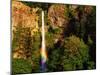 Multnomah Falls Rainbow-Steve Terrill-Mounted Photographic Print