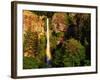 Multnomah Falls Rainbow-Steve Terrill-Framed Photographic Print