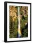 Multnomah Falls Rainbow-Steve Terrill-Framed Photographic Print