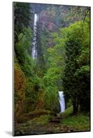 Multnomah Falls Spring-Ike Leahy-Mounted Photographic Print