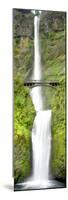 Multnomah Falls-Douglas Taylor-Mounted Premium Giclee Print