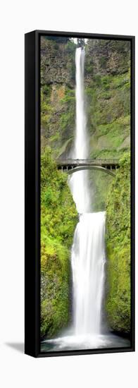 Multnomah Falls-Douglas Taylor-Framed Stretched Canvas