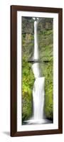 Multnomah Falls-Douglas Taylor-Framed Art Print