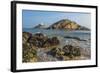 Mumbles Lighthouse, Bracelet Bay, Gower, Swansea, Wales, United Kingdom, Europe-Billy Stock-Framed Photographic Print