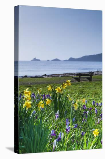 Mumbles, Swansea, Wales, United Kingdom, Europe-Billy-Stretched Canvas