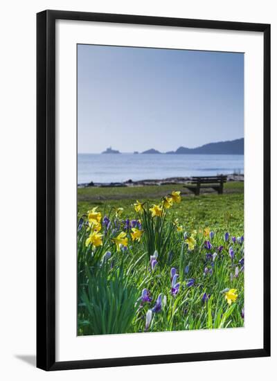 Mumbles, Swansea, Wales, United Kingdom, Europe-Billy-Framed Photographic Print