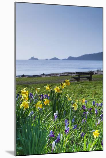 Mumbles, Swansea, Wales, United Kingdom, Europe-Billy-Mounted Photographic Print