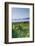 Mumbles, Swansea, Wales, United Kingdom, Europe-Billy-Framed Photographic Print