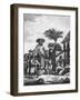 Mumbo Jumbo-null-Framed Photographic Print