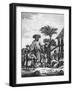 Mumbo Jumbo-null-Framed Photographic Print