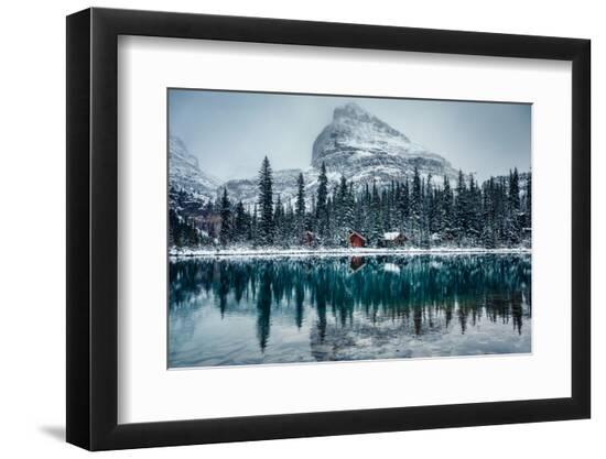 Premium Photographic Print, , large