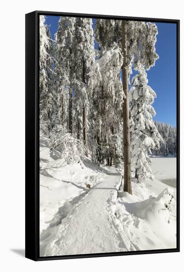 Mummelsee Lake in winter, Black Forest, Baden Wurttemberg, Germany, Europe-Markus Lange-Framed Stretched Canvas